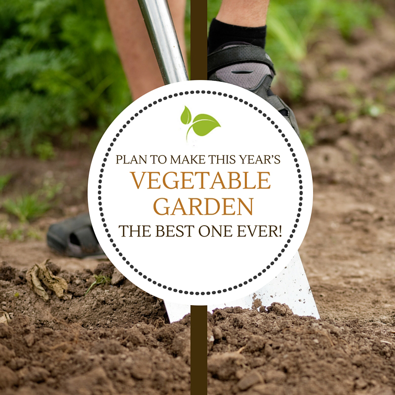 Plan to make this year’s vegetable garden the best one ever!