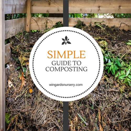 Simple Guide to Composting