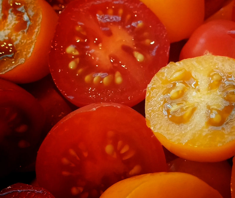 Derrick Gunter’s Heirloom Tomatoes