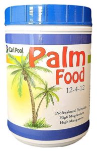 palm tree food