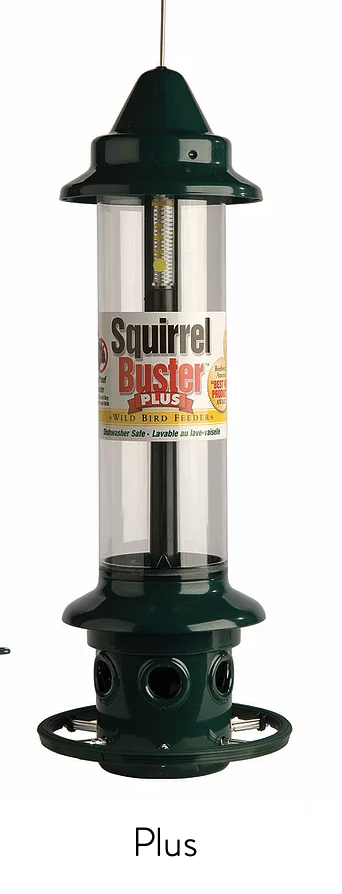 Squirrel Buster Plus - Squirrel Buster Plus