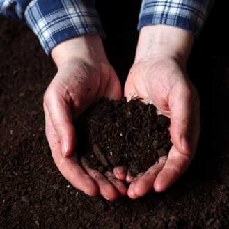 Soils, Composts & Mulches