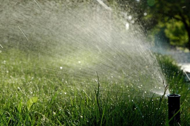 sprinkler system in yard