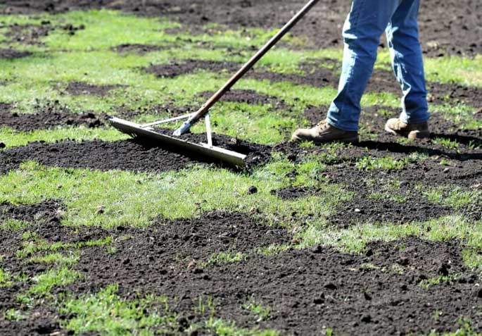 Top Dressing