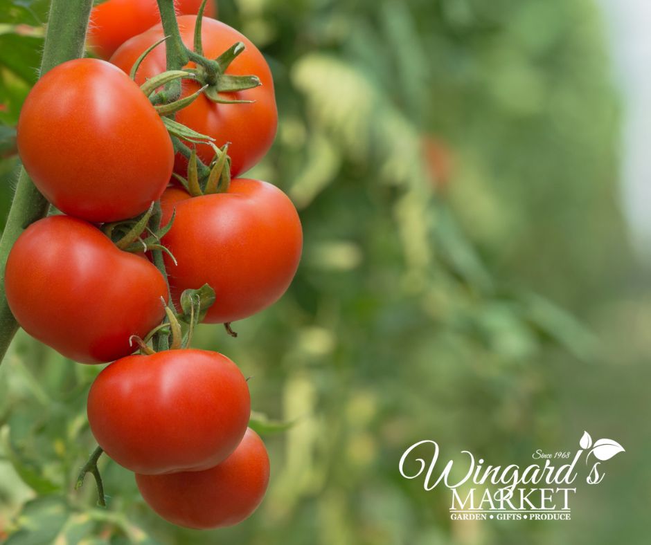 Dig Into Vegetable Gardening